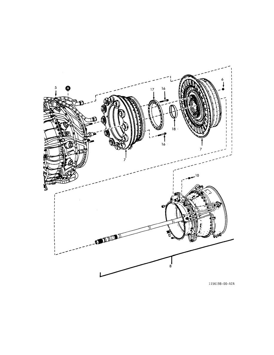 download plant gravitropism methods